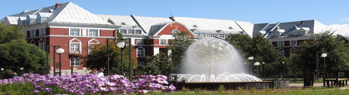 Perm State University banner